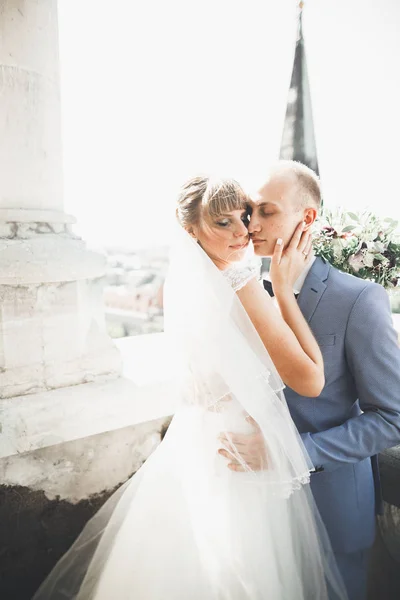 Kissing wedding couple staying over beautiful landscape — Stock Photo, Image