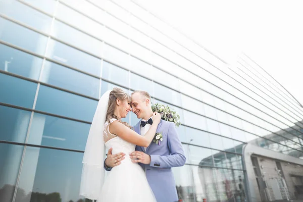 完美的新婚夫妇，新郎在婚礼上的姿势和亲吻 — 图库照片