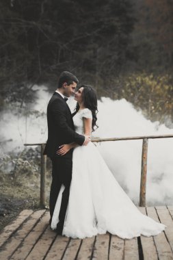 Romantik, peri masalı, mutlu yeni evli çift parkta sarılıp öpüşüyor, arka planda ağaçlar...