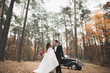 Şık düğün çift, Gelin, damat öpüşme ve retro arabanın yakınında sonbaharda sarılma