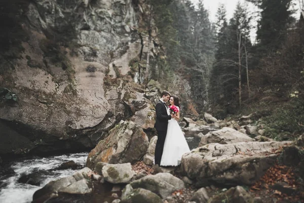 Elegante elegante novia morena feliz y hermoso novio en el fondo de un hermoso río en las montañas —  Fotos de Stock