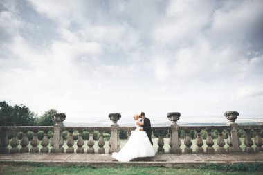 Güzel, romantik bir düğün. Yeni evliler. Eski kalenin yakınlarında sarılıyorlar.