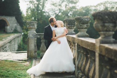 İnanılmaz mutlu nazik stil güzel romantik beyaz çift arka planda antik barok kalesinde