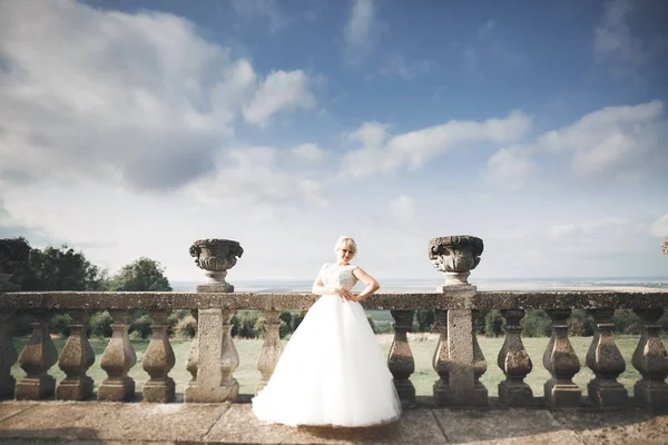 Muhteşem romantik zarif stil güzel beyaz gelin arka planda antik barok kalesinde — Stok fotoğraf