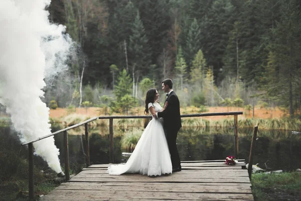 Romantique, conte de fées, couple de jeunes mariés heureux embrassant et embrassant dans un parc, arbres en arrière-plan — Photo