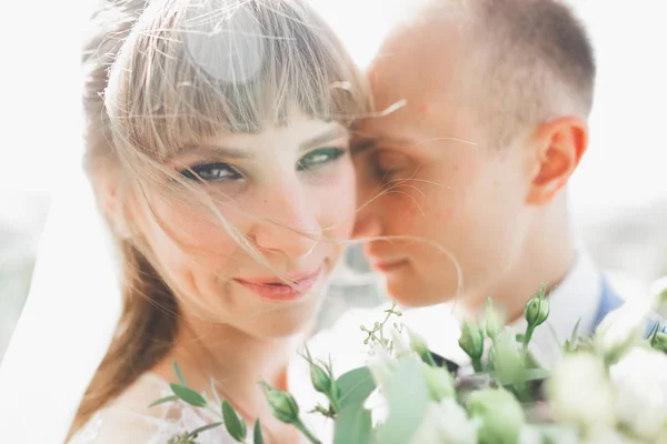 若い結婚式のカップルの官能的な肖像画。屋外 — ストック写真