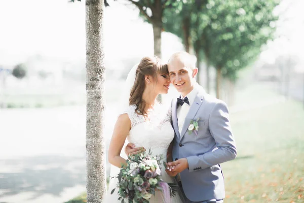 Coppia perfetta sposa, sposo posa e baci nel loro giorno del matrimonio — Foto Stock