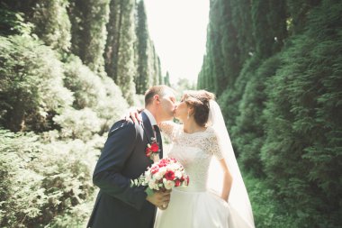 Yeni evli çift el ele tutuşurken parkta koşup zıplıyorlar.