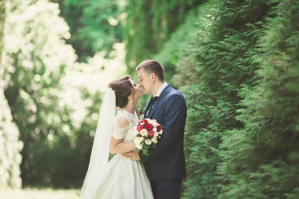 Yeni evli çift el ele tutuşurken parkta koşup zıplıyorlar.