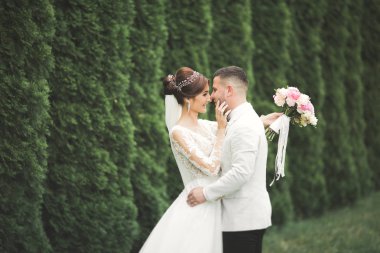 Güzel romantik bir çift yeni evliler gün batımında parkta sarılıyorlar.