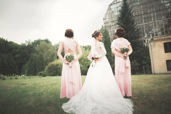 Bride with bridesmaids in the park on the wedding day — Stock Photo, Image
