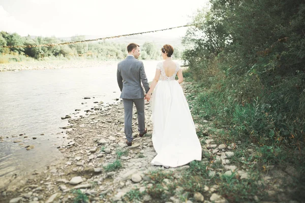 Boda pareja novia y novio de la mano —  Fotos de Stock