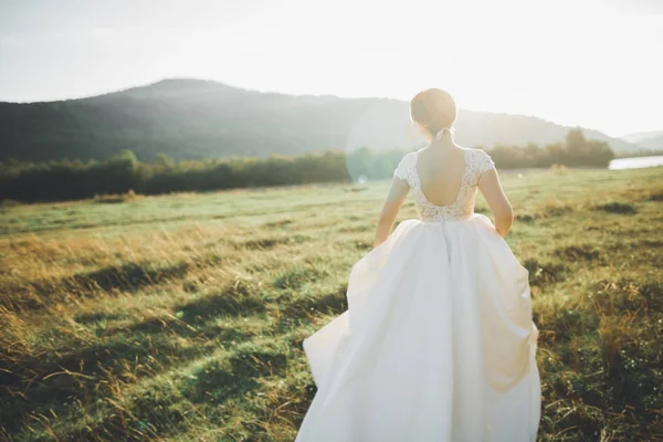 Novia en vestido de novia posando sobre hierba con hermoso paisaje de fondo —  Fotos de Stock