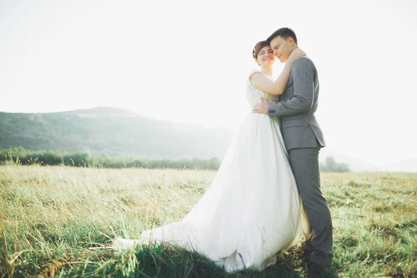 Schönes Hochzeitspaar, Liebe im Sonnenuntergang. Feld mit Blick auf die Berge — Stockfoto