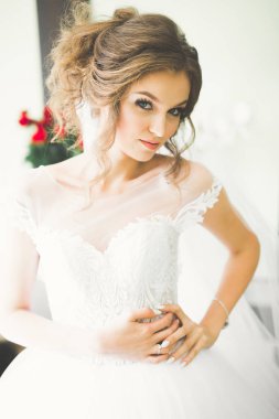 Düğün sabahı peçeli güzel bir gelin portresi.