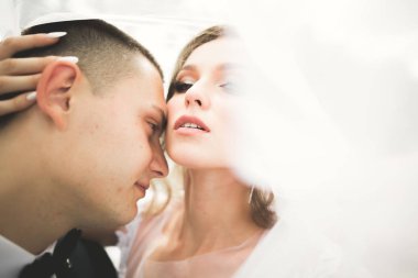 Genç ve güzel bir çiftin yakın çekimi.