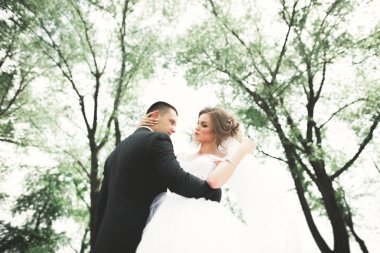 Romantik, peri masalı, mutlu yeni evli çift parkta sarılıp öpüşüyor, arka planda ağaçlar...