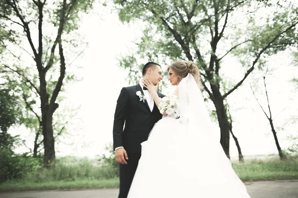 Casamento recém-casado casal correndo e pulando no parque, mantendo as mãos — Fotografia de Stock