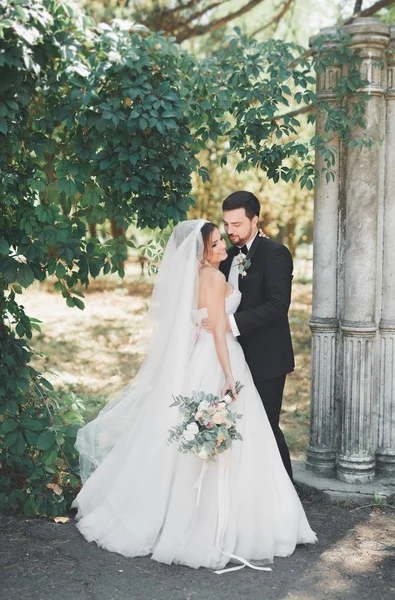 Lyckligt bröllop par bruden och brudgummen poserar i en botanisk park — Stockfoto