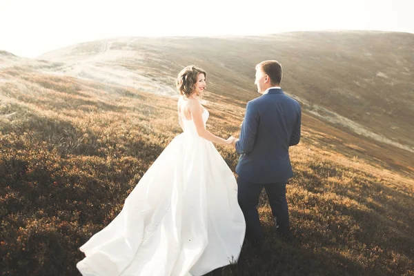 Щаслива весільна пара позує над красивим пейзажем у горах — стокове фото