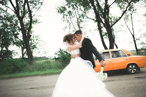 Cuplu fericit de nuntă mergând într-un parc botanic — Fotografie, imagine de stoc