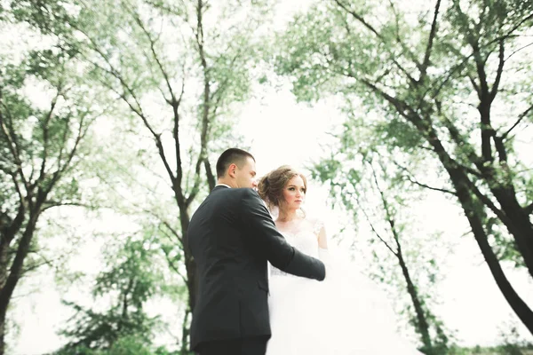 Pareja recién casada corriendo y saltando en el parque mientras se toma de la mano — Foto de Stock