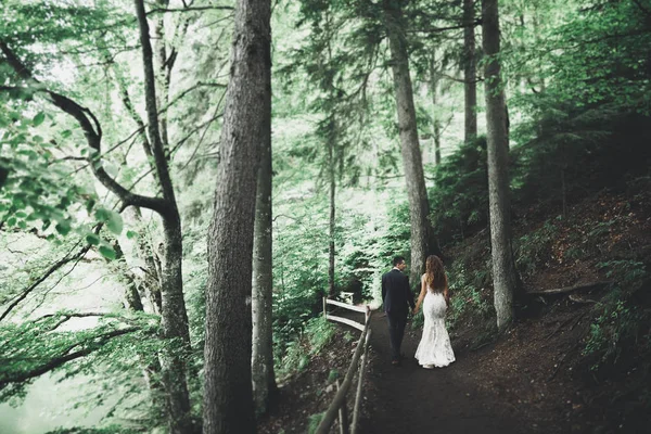 Glad bröllop par promenader i en botanisk park — Stockfoto