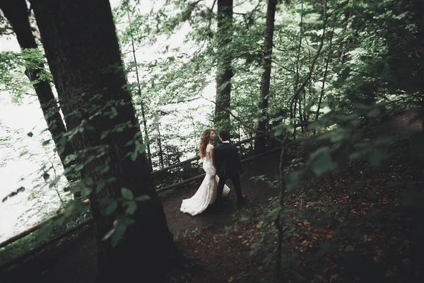 Elegante stijlvolle gelukkig brunette bruid en prachtige bruidegom op de achtergrond van een mooie rivier in de bergen — Stockfoto