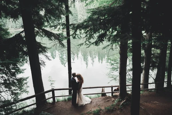 Romantisch, sprookje, gelukkig pasgetrouwd stel knuffelen en kussen in een park, bomen op de achtergrond — Stockfoto