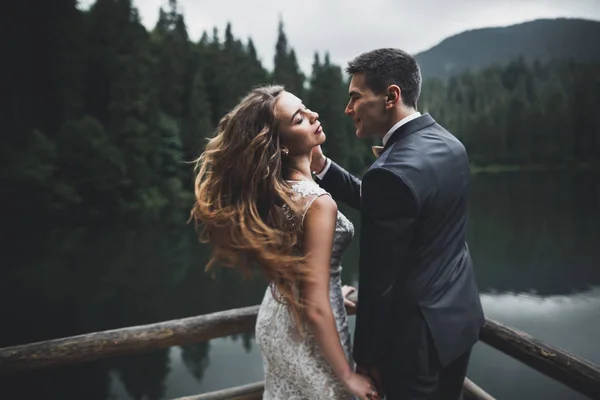 Glückliches Hochzeitspaar posiert über schöner Landschaft in den Bergen — Stockfoto