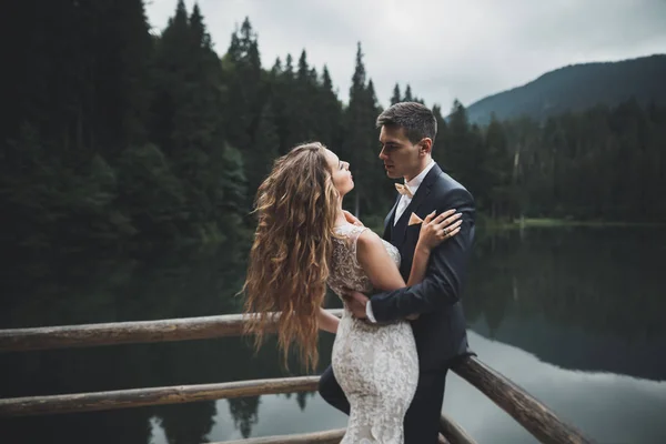 Perfektes Paar Braut, Bräutigam posiert und küsst sich am Hochzeitstag — Stockfoto