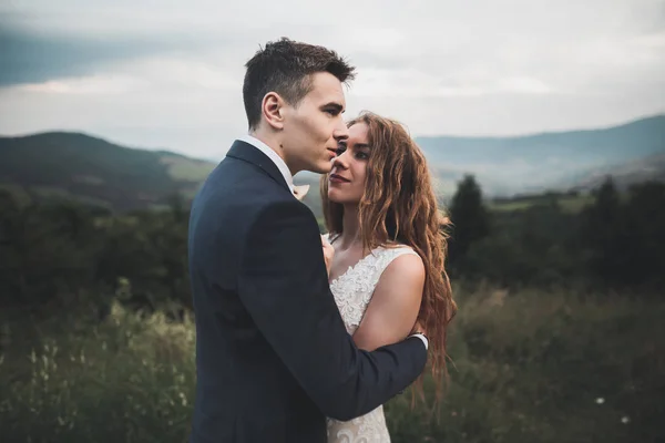 아름다운 부부가 산 근처에서 키스와 포옹을 하는 모습을 완벽하게 볼 수있다 — 스톡 사진