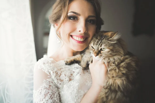 年轻美丽的新娘，和一只猫在她的怀里，在婚礼之前早上 — 图库照片