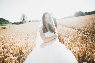 Güzel bir düğün çifti, gelin ve damat gün batımında sahada poz veriyorlar.