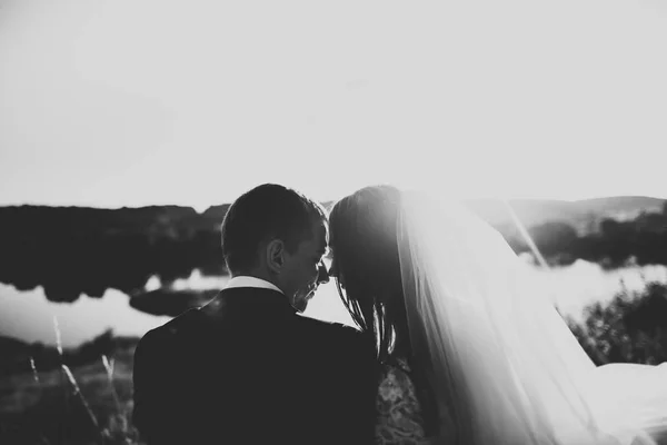 Perfect koppel bruid, bruidegom poseren en kussen in hun trouwdag — Stockfoto