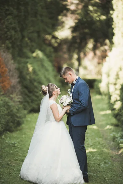 Casal feliz caminhando em um parque botânico — Fotografia de Stock