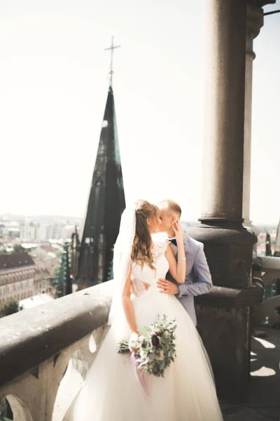 Stylish beautiful wedding couple kissing and hugging on background panoramic view of the old town — Stock Photo, Image