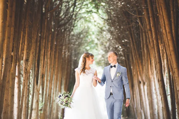 Hermosa joven pareja de boda se besa y sonríe en el parque —  Fotos de Stock