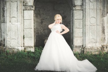 Muhteşem romantik zarif stil güzel beyaz gelin arka planda antik barok kalesinde