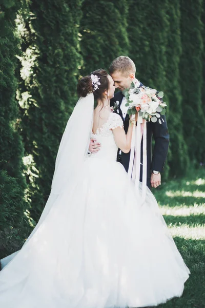 Красивая молодая свадебная пара целуется и улыбается в парке — стоковое фото