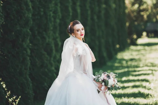 Hermosa novia de lujo en vestido blanco elegante —  Fotos de Stock