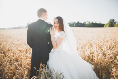 Bahar mevsiminde öpüşen düğün çifti. Yakın plan portre.