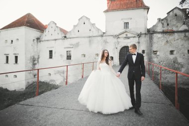 İnanılmaz mutlu nazik stil güzel romantik beyaz çift arka planda antik barok kalesinde