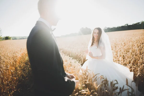 Casal encantador jovem noiva e noivo no fundo por do sol. Céu bonito — Fotografia de Stock