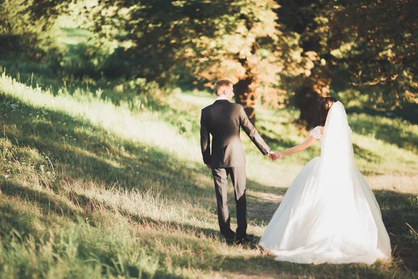 Romantik, peri masalı, mutlu yeni evli çift parkta sarılıp öpüşüyor, arka planda ağaçlar... — Stok fotoğraf