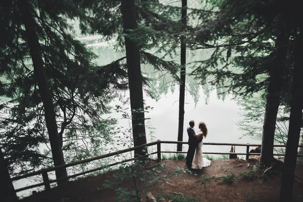 Romântico, conto de fadas, feliz casal recém-casado abraçando e beijando em um parque, árvores no fundo — Fotografia de Stock