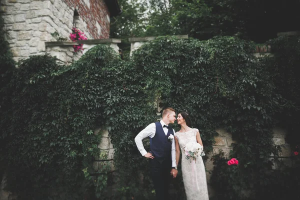 Matrimonio coppia sposa e sposo tenendosi per mano — Foto Stock