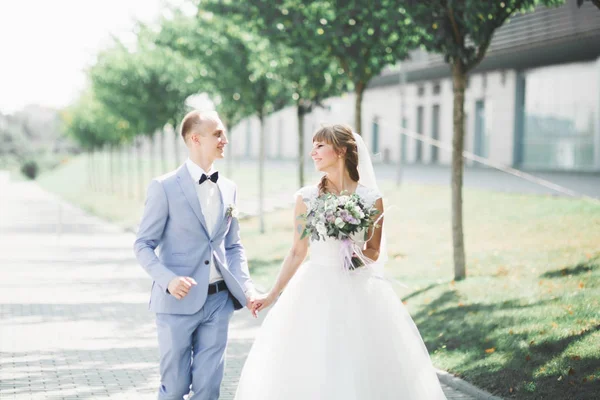 Romántico, cuento de hadas, feliz pareja recién casada abrazándose y besándose en un parque, árboles en el fondo — Foto de Stock