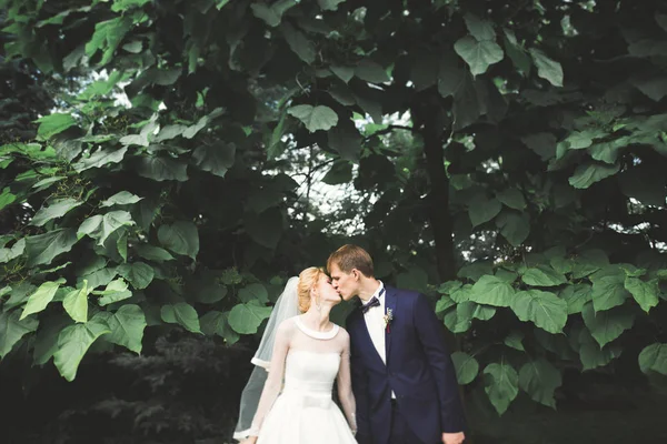 Couple élégant de jeunes mariés heureux marchant dans le parc le jour de leur mariage avec bouquet — Photo