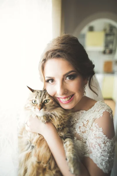 Молода красива наречена з кішкою в руках, вранці перед весіллям — стокове фото